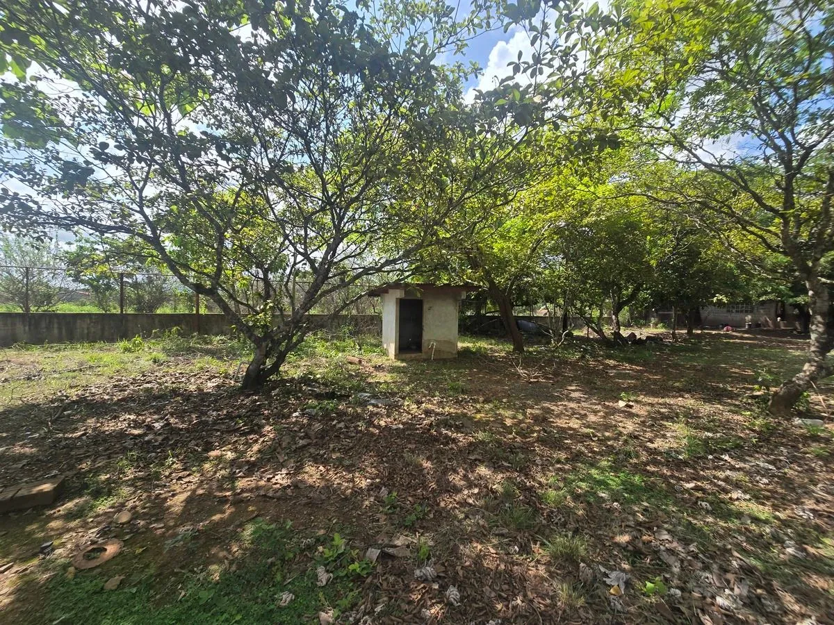Warehouse for sale in Aguadulce