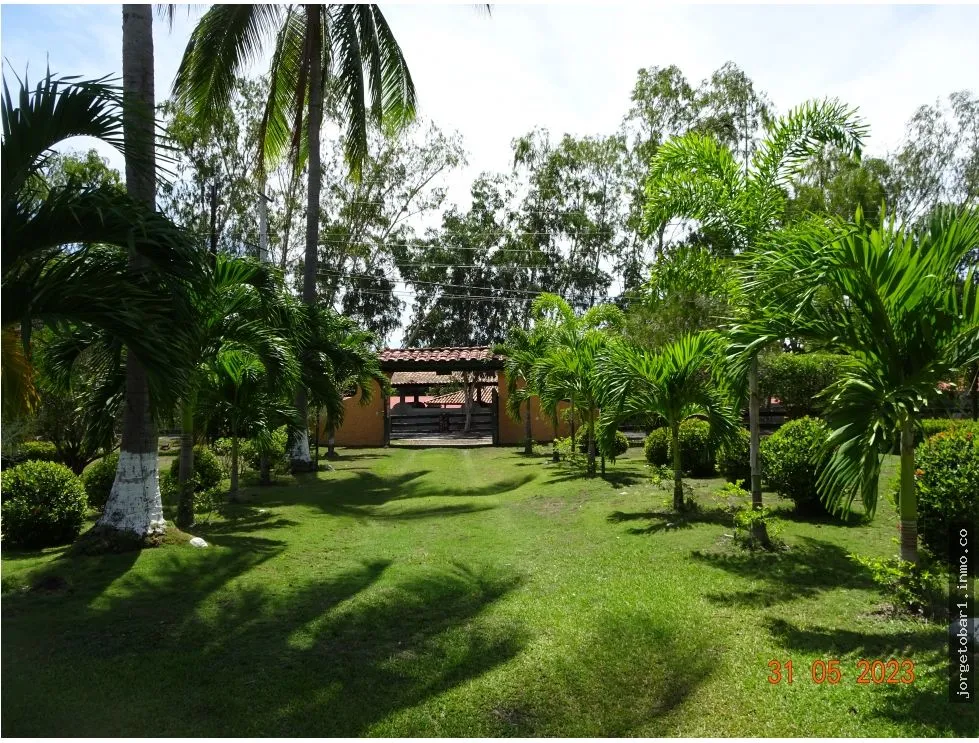 Building Lot for sale in San Carlos
