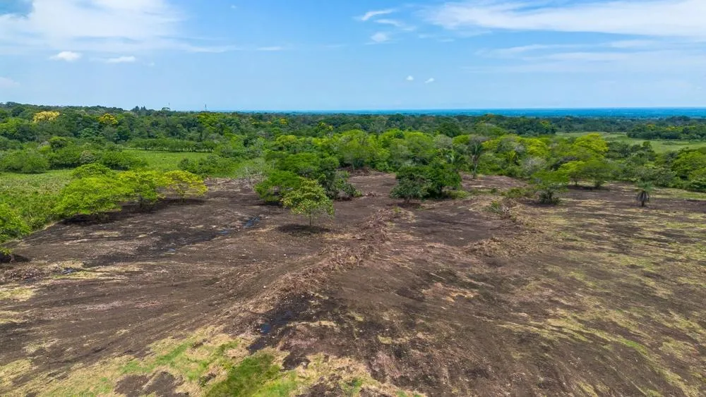 8 hectare land for sale with Pan-American Highway