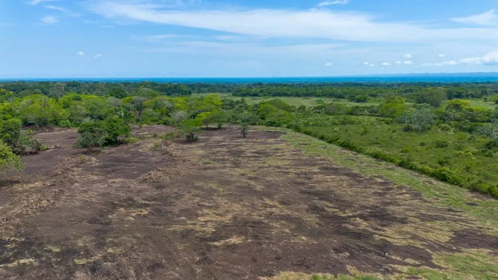 8 hectare land for sale with Pan-American Highway