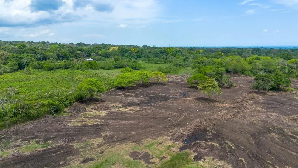 8 hectare land for sale with Pan-American Highway
