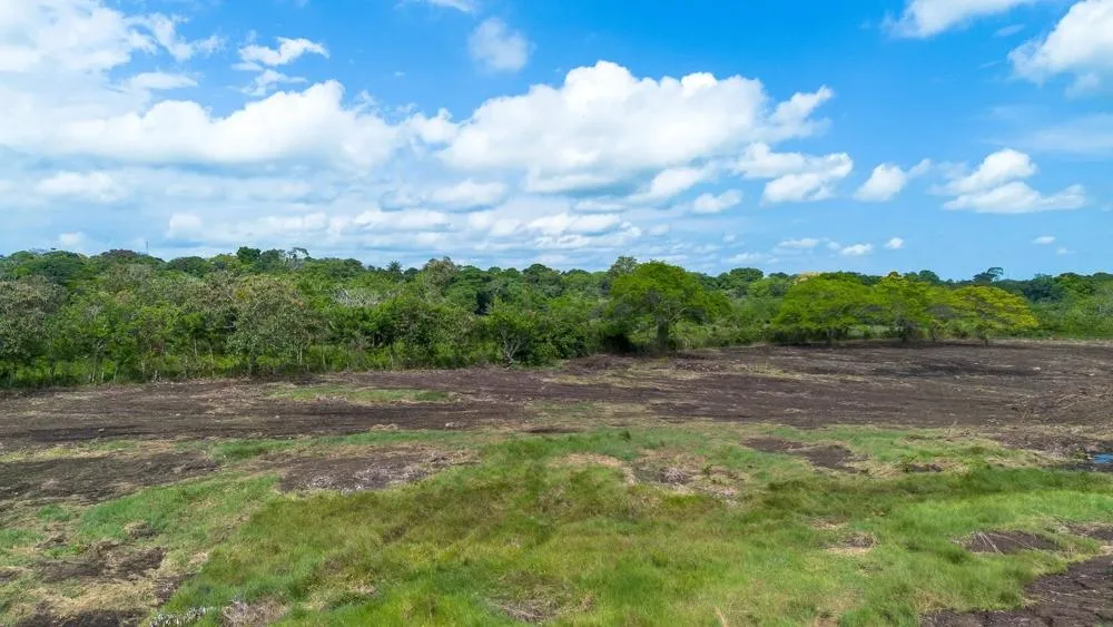 8 hectare land for sale with Pan-American Highway