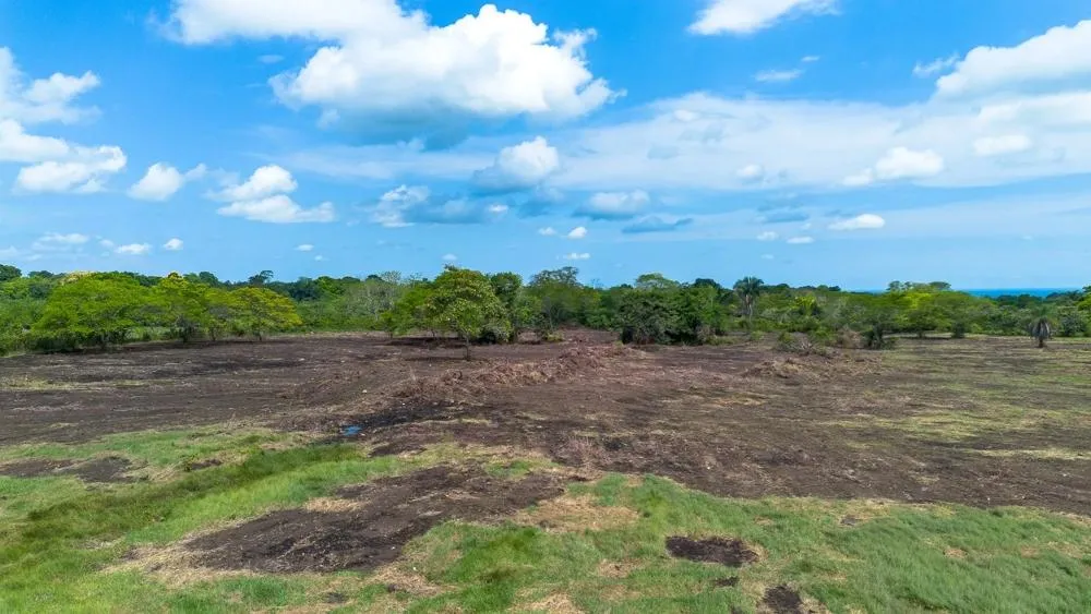 8 hectare land for sale with Pan-American Highway
