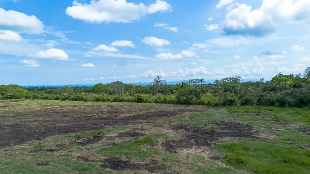 8 hectare land for sale with Pan-American Highway