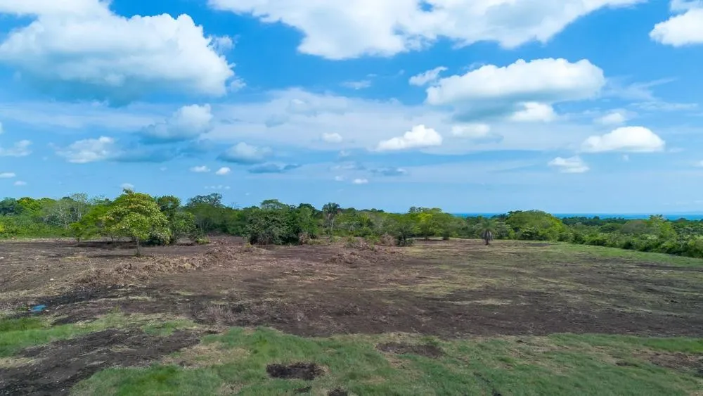 8 hectare land for sale with Pan-American Highway