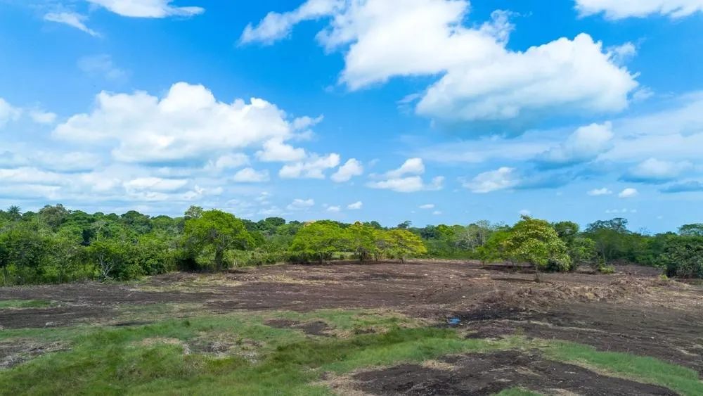 8 hectare land for sale with Pan-American Highway