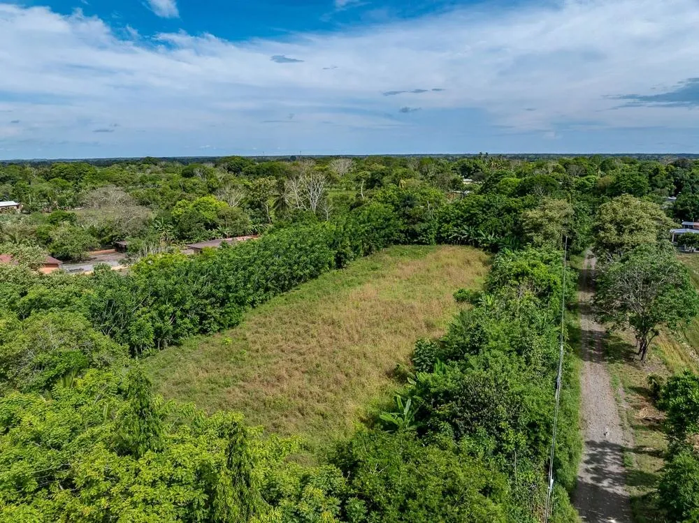 Flat 6,783.87 m² Lot for Sale in Guarumal