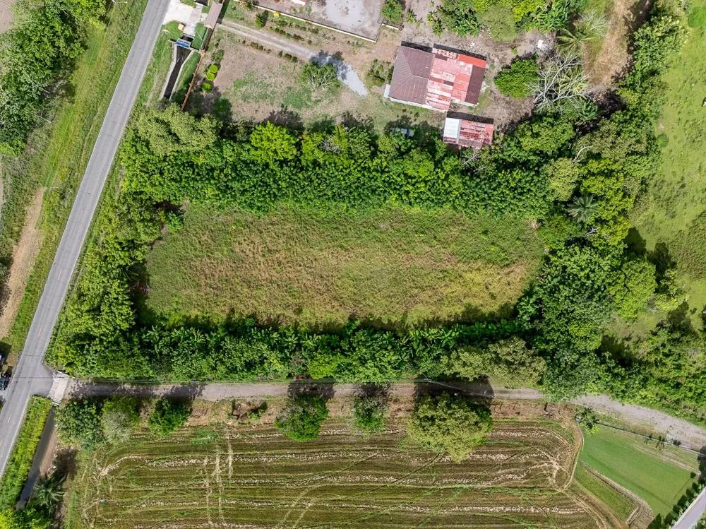 Flat 6,783.87 m² Lot for Sale in Guarumal