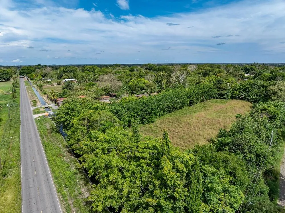Flat 6,783.87 m² Lot for Sale in Guarumal