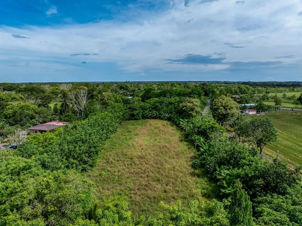 Flat 6,783.87 m² Lot for Sale in Guarumal