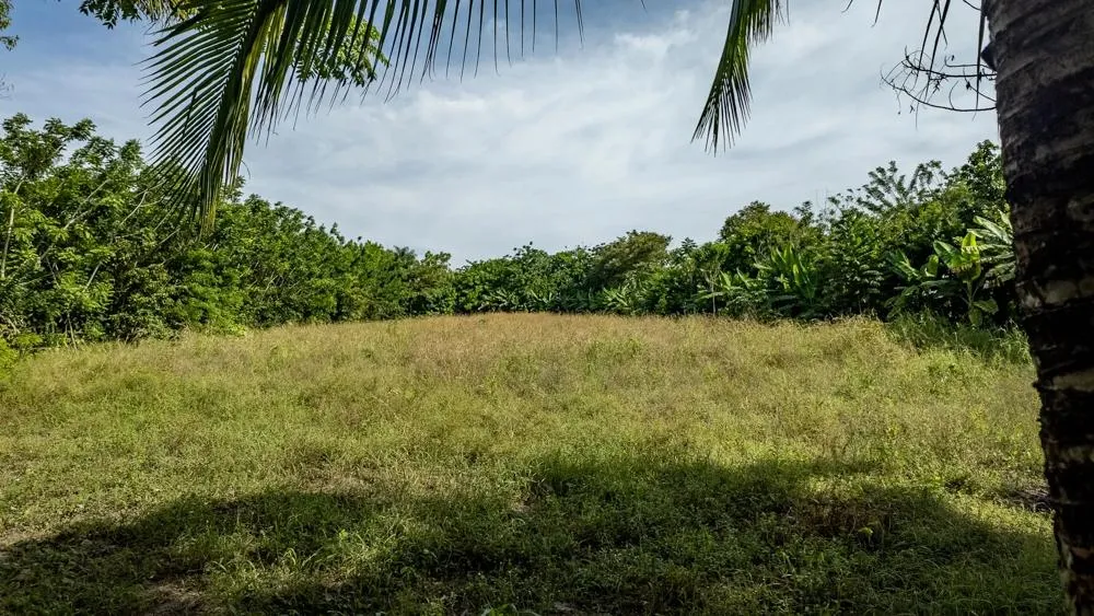 Flat 6,783.87 m² Lot for Sale in Guarumal