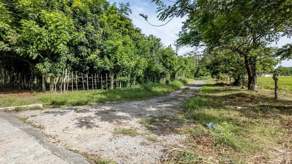 Flat 6,783.87 m² Lot for Sale in Guarumal