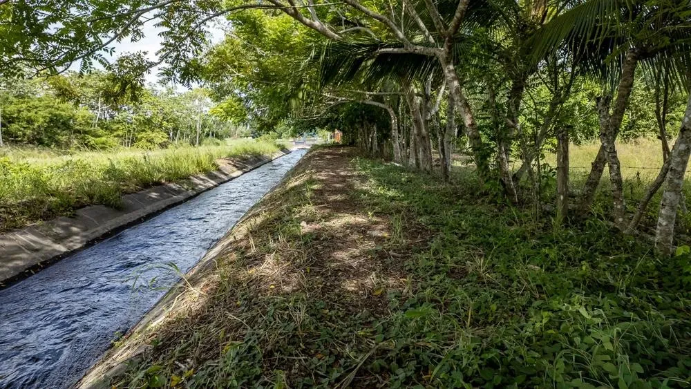 Flat 6,783.87 m² Lot for Sale in Guarumal