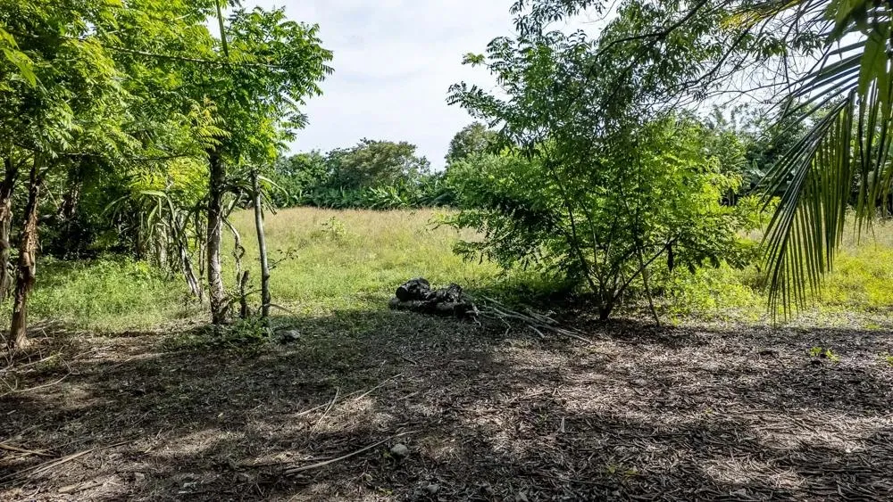 Flat 6,783.87 m² Lot for Sale in Guarumal