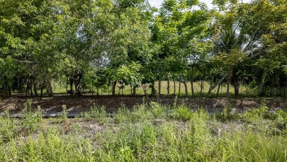 Flat 6,783.87 m² Lot for Sale in Guarumal
