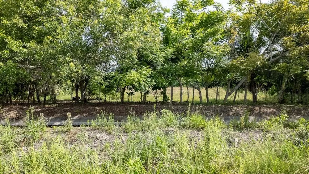 Flat 6,783.87 m² Lot for Sale in Guarumal
