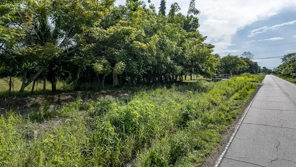 Flat 6,783.87 m² Lot for Sale in Guarumal