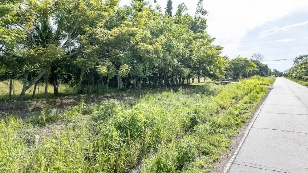 Flat 6,783.87 m² Lot for Sale in Guarumal