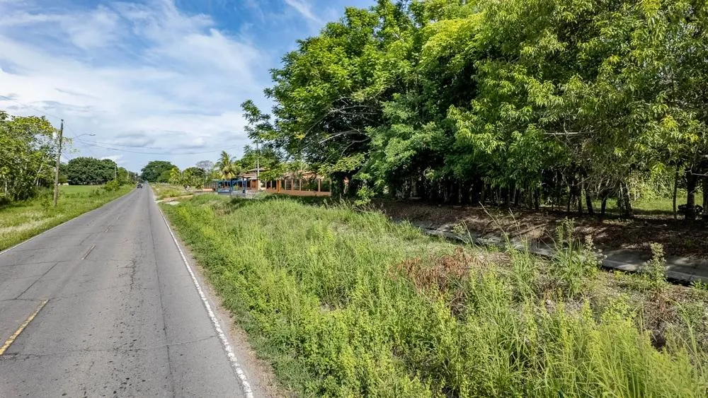 Flat 6,783.87 m² Lot for Sale in Guarumal