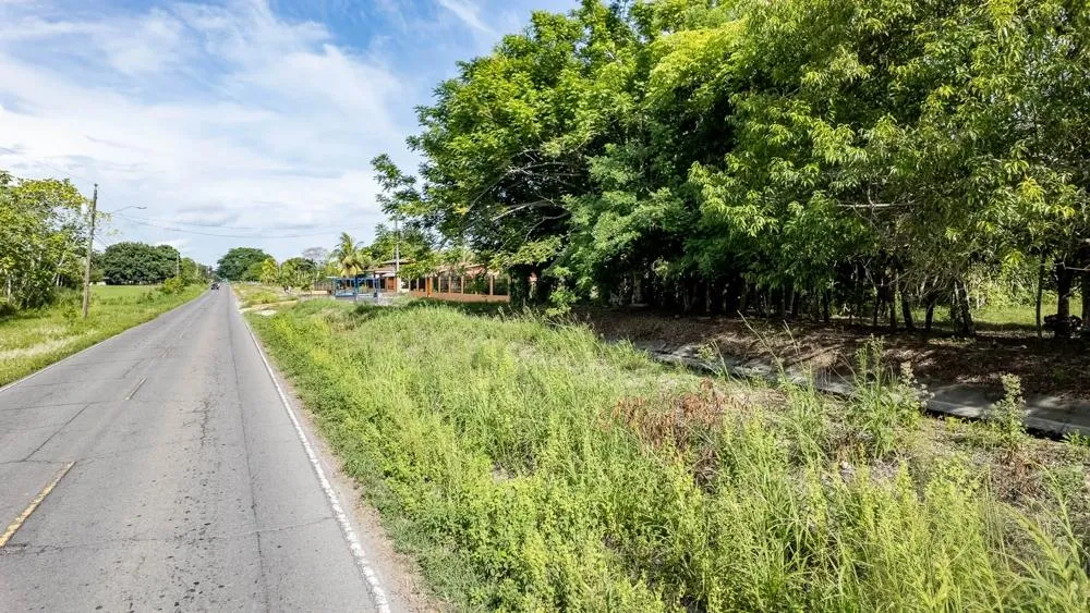Flat 6,783.87 m² Lot for Sale in Guarumal