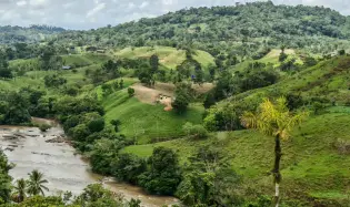 100-HECTARE FARM FOR SALE IN PASO REAL, PENONOMÉ, PANAMA