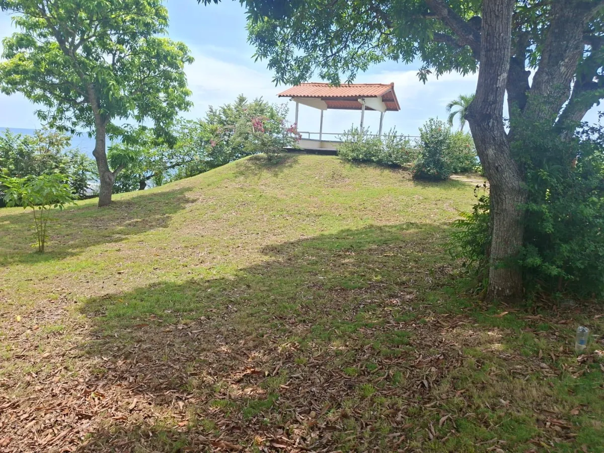 Land with 3 houses in Gorgona facing the sea.