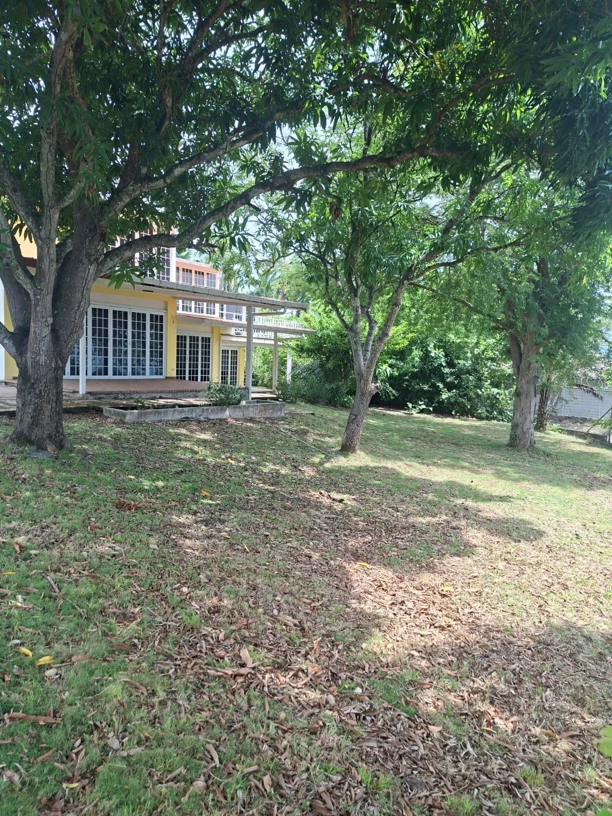 Land with 3 houses in Gorgona facing the sea.