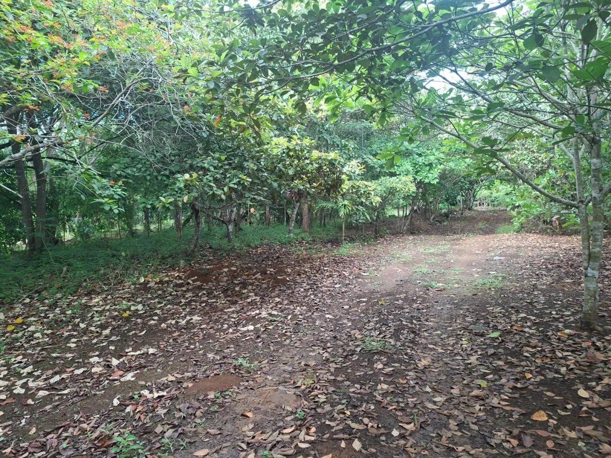 Excelente terreno con mejoras vía El Valle