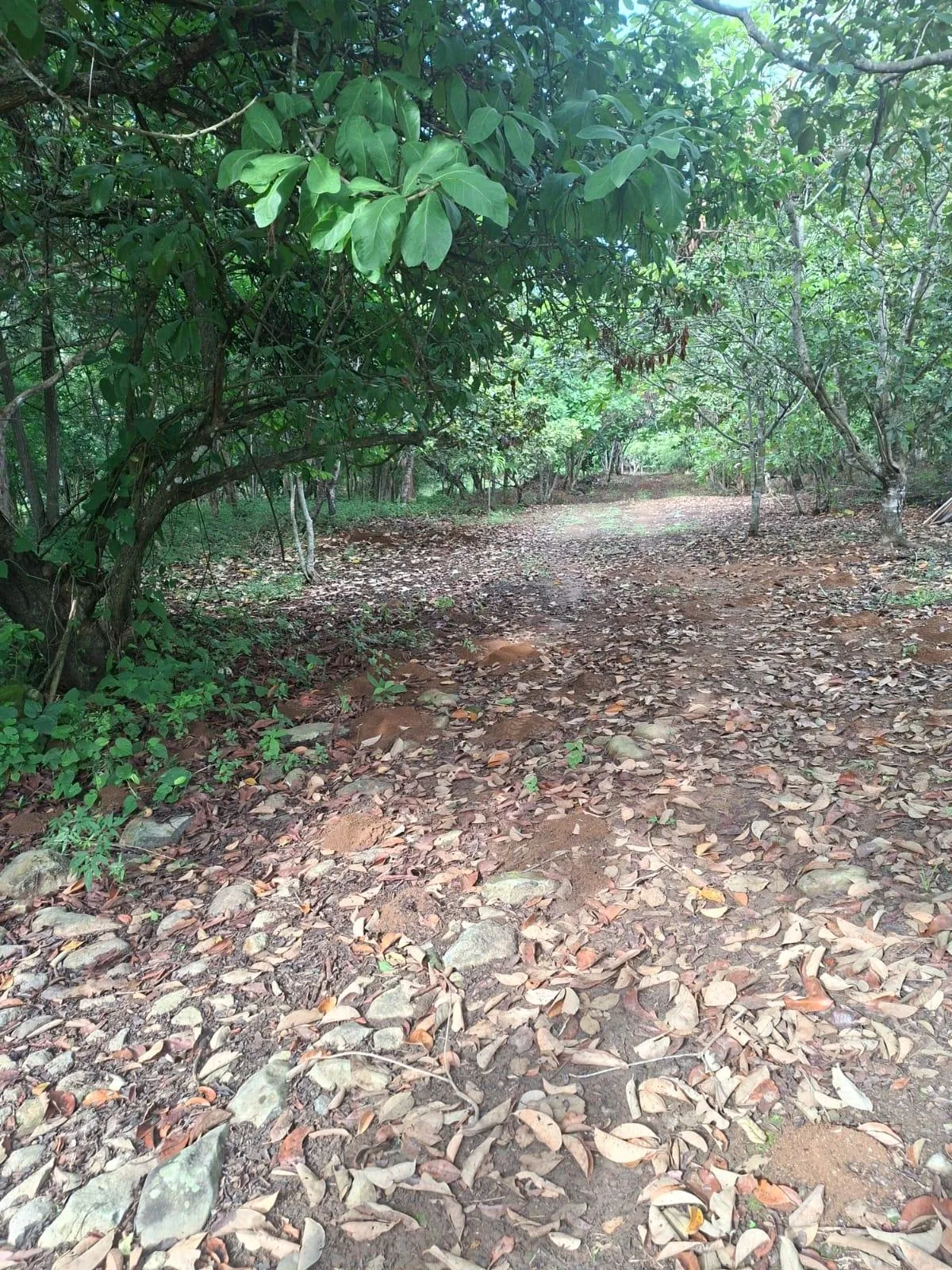 Excelente terreno con mejoras vía El Valle
