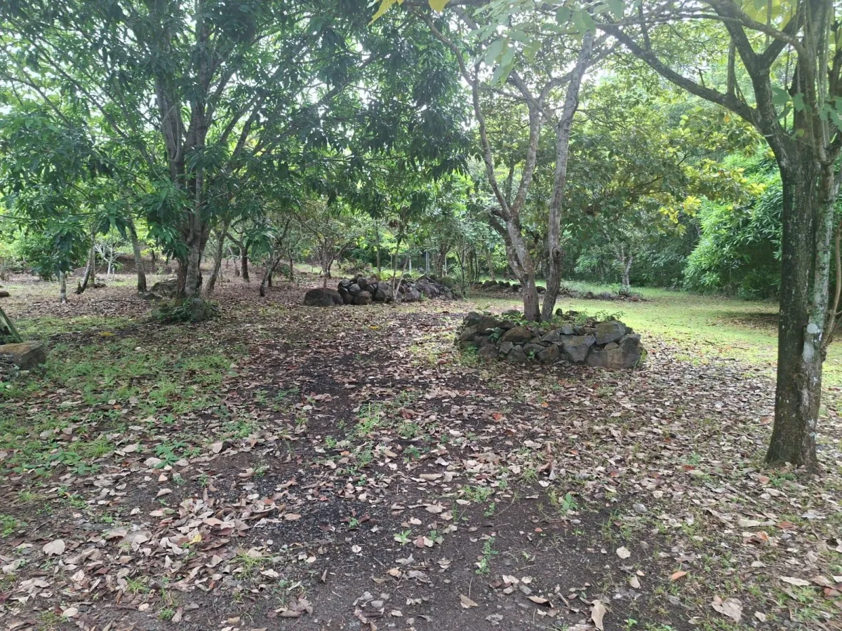 Excelente terreno con mejoras vía El Valle