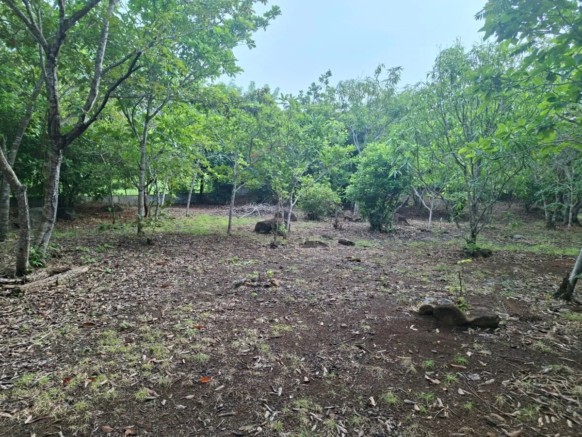 Excelente terreno con mejoras vía El Valle