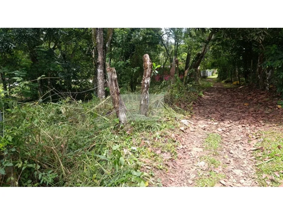建筑很多 在 Chame 出售