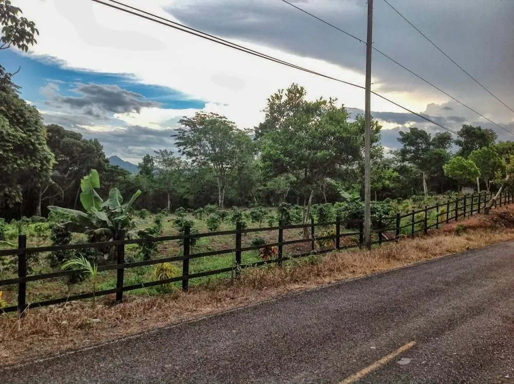 Terreno de 5.649 m² en venta en Vía Toabré, Cocle