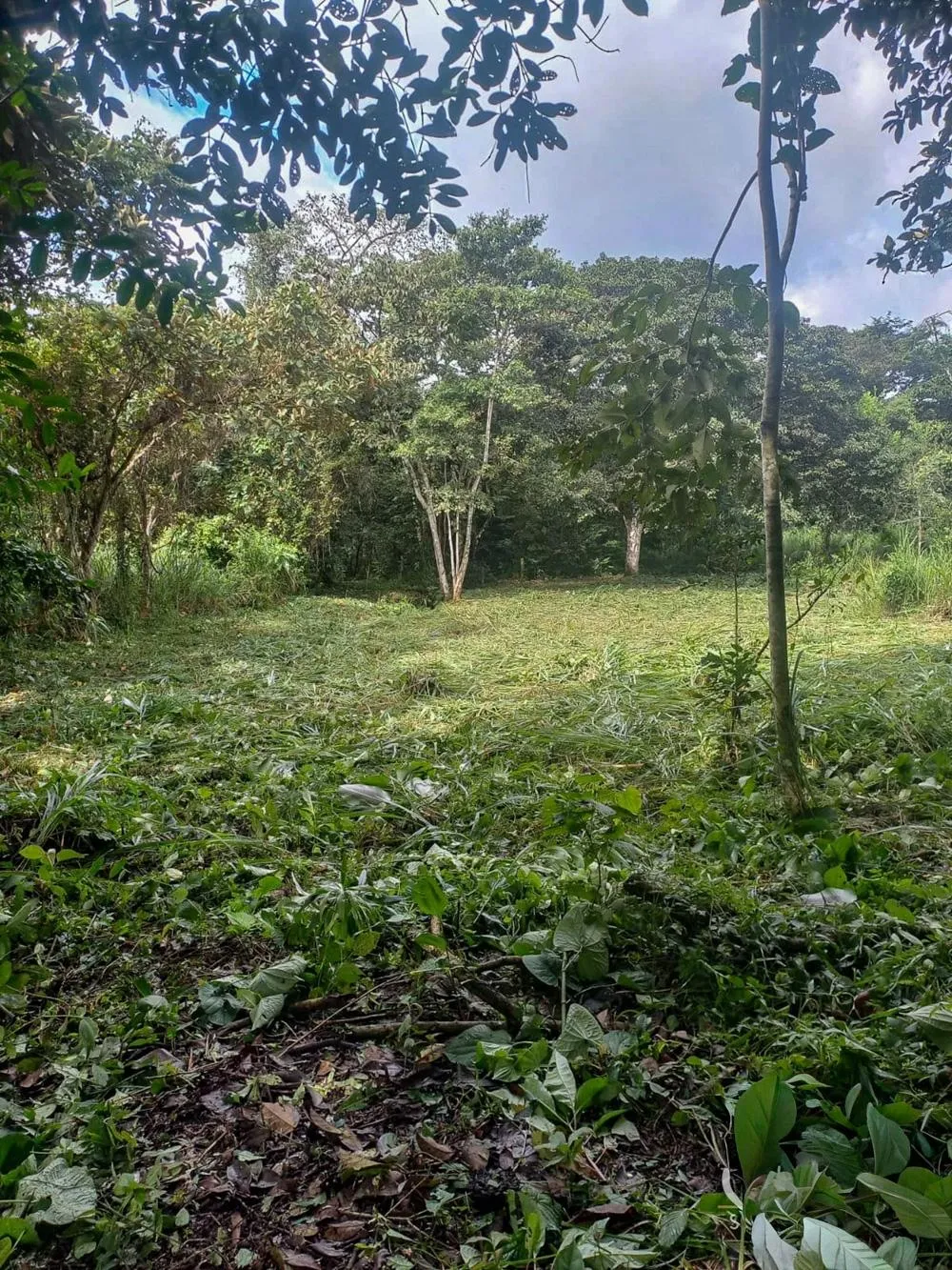 Terreno de 5.649 m² en venta en Vía Toabré, Cocle