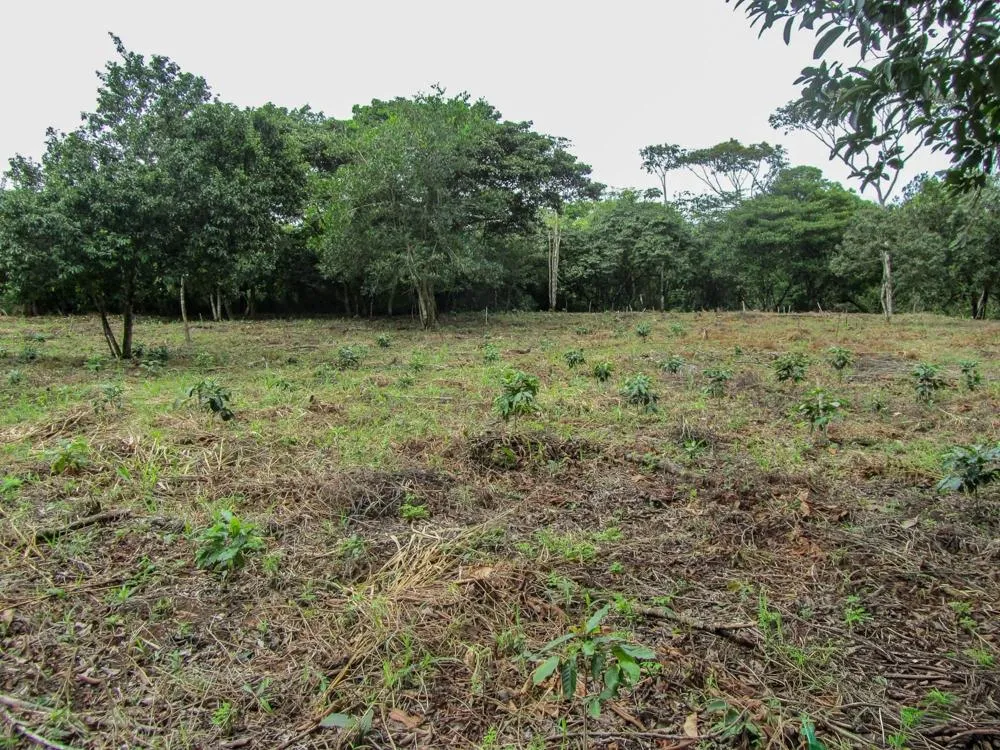 Terreno de 5.791 m² en venta en Toabré, Cocle.