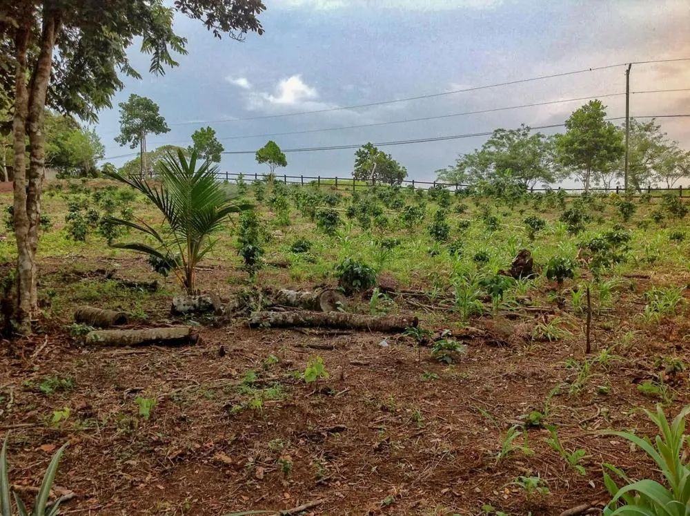 Terreno de 5.791 m² en venta en Toabré, Cocle.