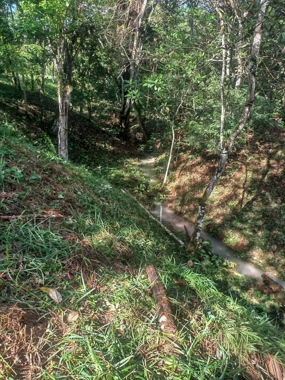 Terreno de 5.791 m² en venta en Toabré, Cocle.