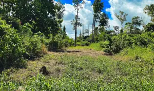 Lot of land in La Estrella, Bugaba