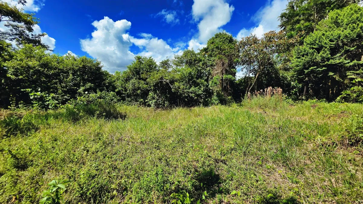 Lote de Terreno en La Estrella, Bugaba – Amplio, Accesible y con Excelente