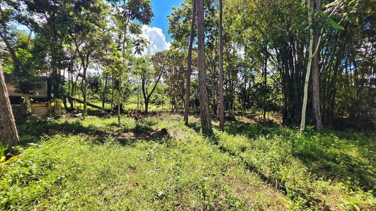 Lote de Terreno en La Estrella, Bugaba – Amplio, Accesible y con Excelente