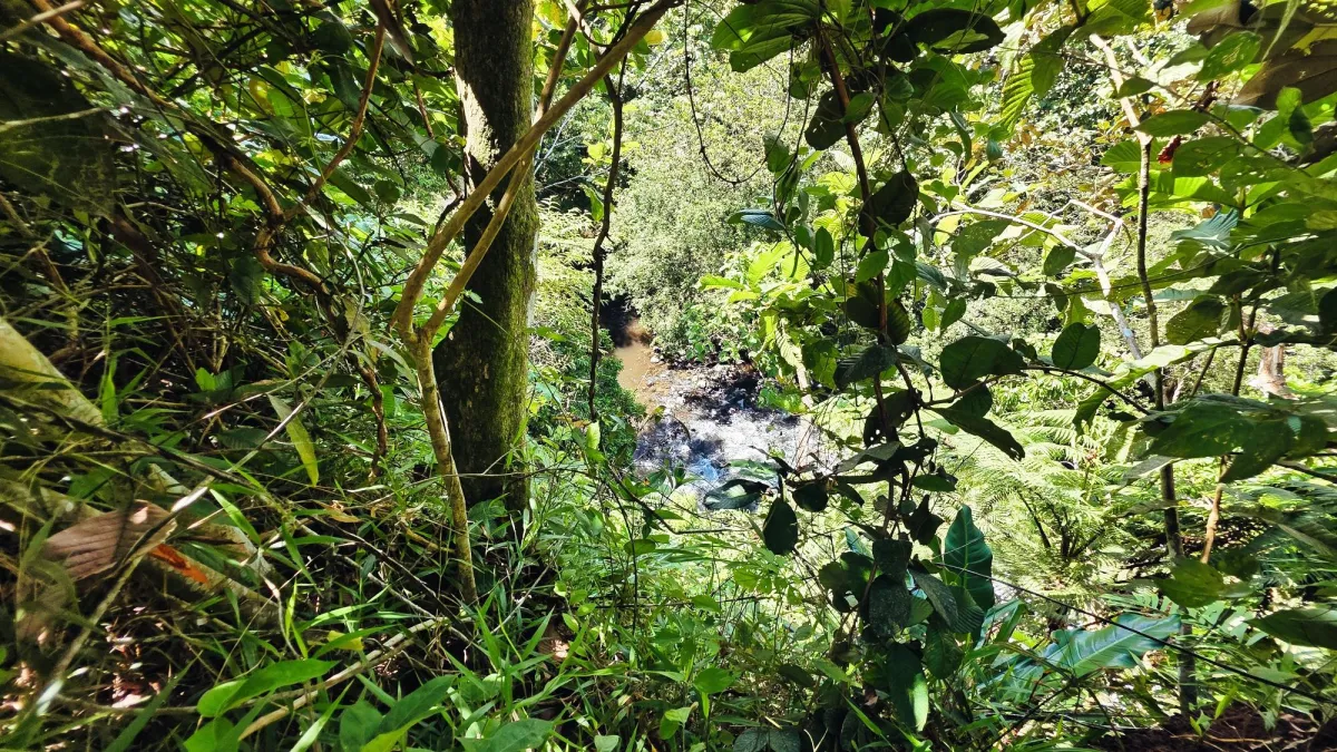 Lote de Terreno en La Estrella, Bugaba – Amplio, Accesible y con Excelente