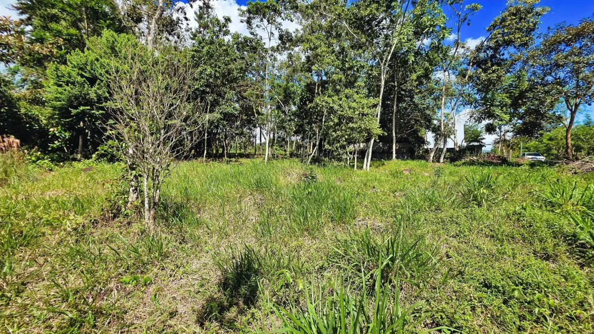 Lote de Terreno en La Estrella, Bugaba – Amplio, Accesible y con Excelente