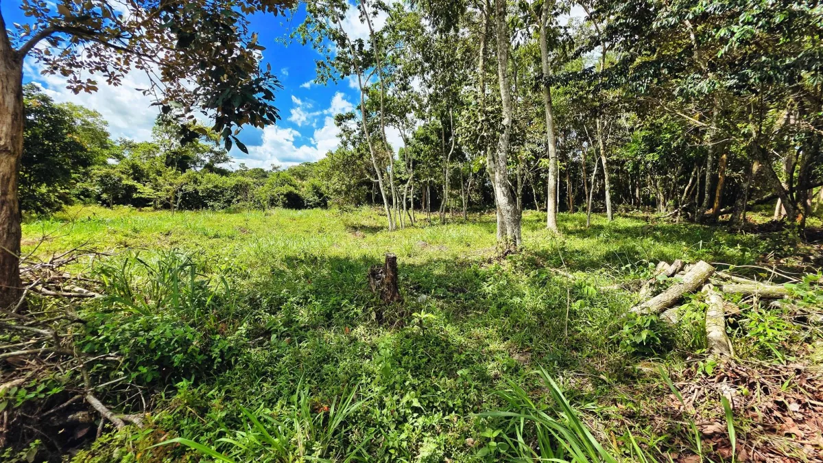 Lote de Terreno en La Estrella, Bugaba – Amplio, Accesible y con Excelente
