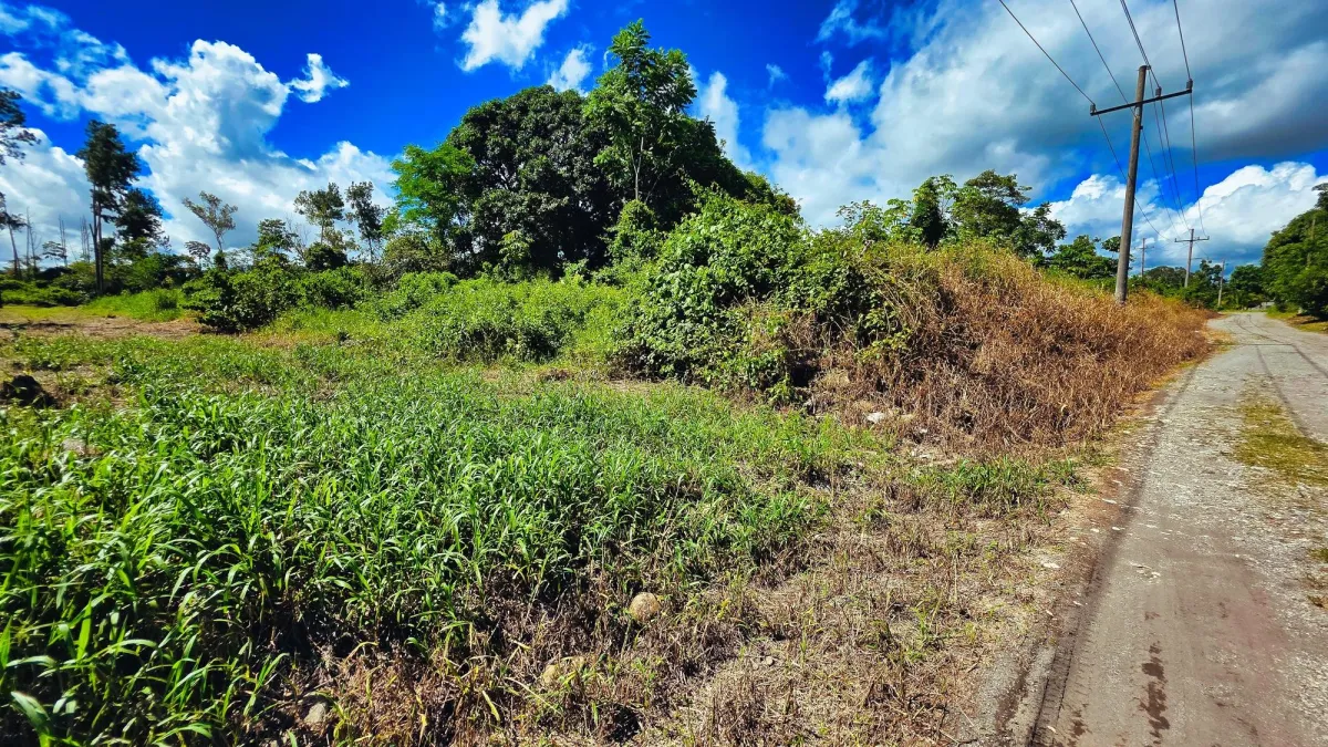 Lote de Terreno en La Estrella, Bugaba – Amplio, Accesible y con Excelente