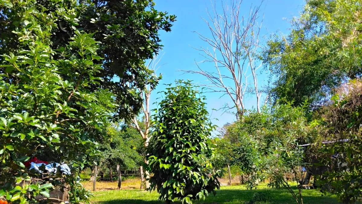 Large plot of land with a small house in Boquerón