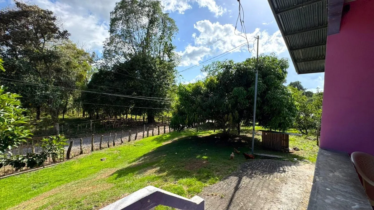 Large plot of land with a small house in Boquerón