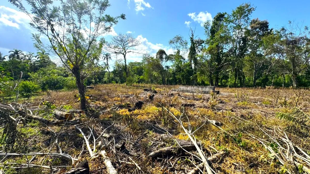 Large plot of land with a small house in Boquerón