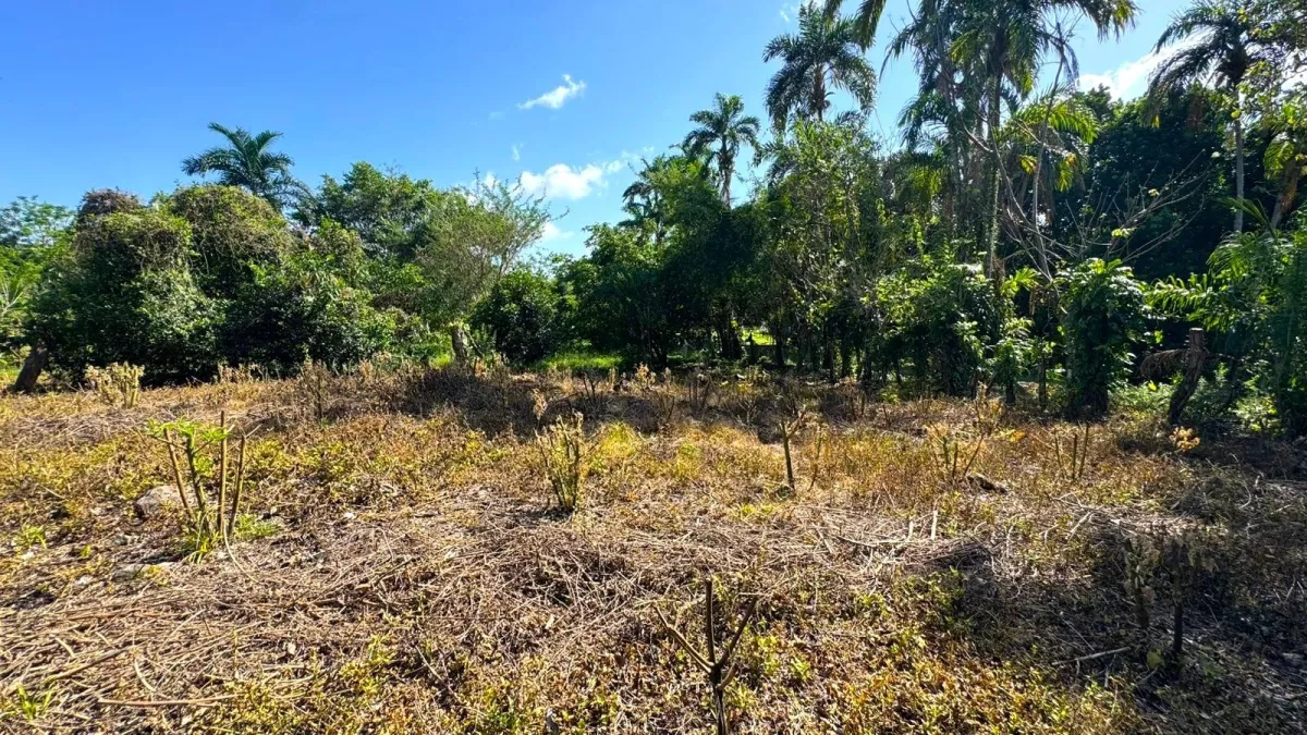 Large plot of land with a small house in Boquerón