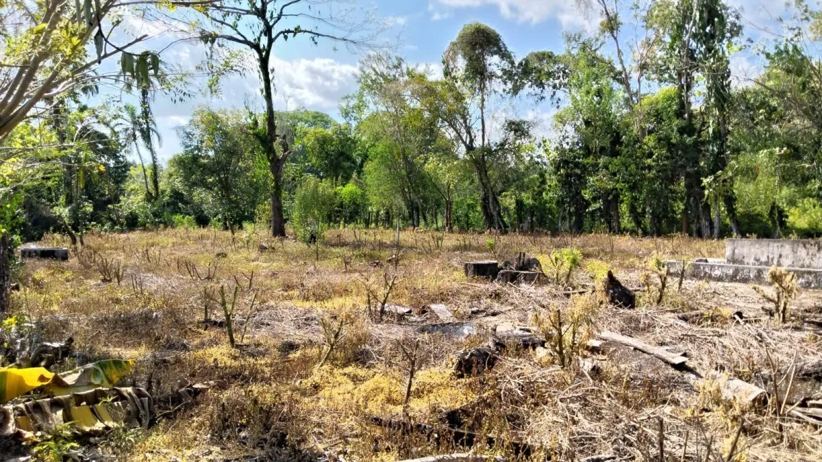 Large plot of land with a small house in Boquerón