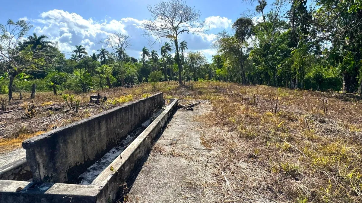 Large plot of land with a small house in Boquerón